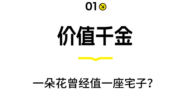 对小个子超不友好的国家…中国游客超爱去？