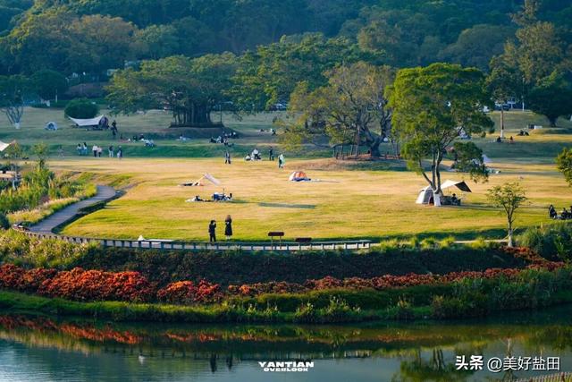 发现深圳“阿勒泰”这些机位的人，真是天才！