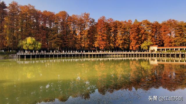 霜影下的城市绯霞