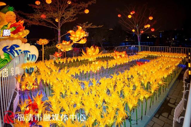 “夜游”江镜！花灯、垛田、黑脸琵鹭……邂逅“绿富美”田园风！