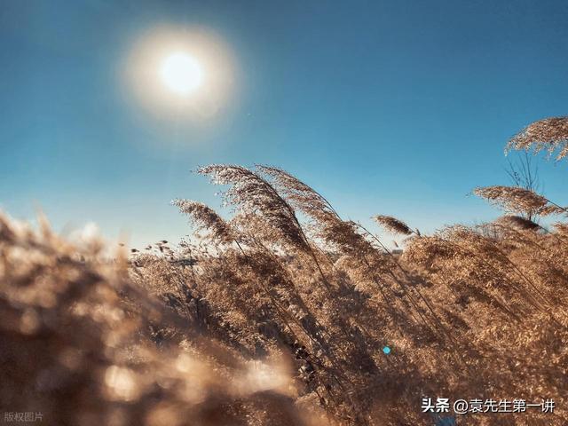 “冷不冷，就看冬月初一”，今日冬月初一，2026年春节会很冷吗？