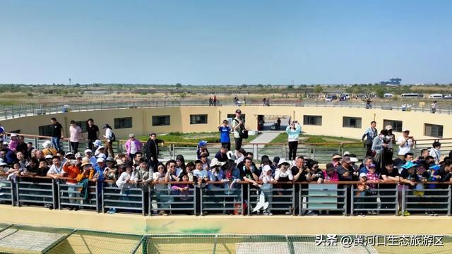 【黄河口生态旅游区】开学季 奔赴自然之美