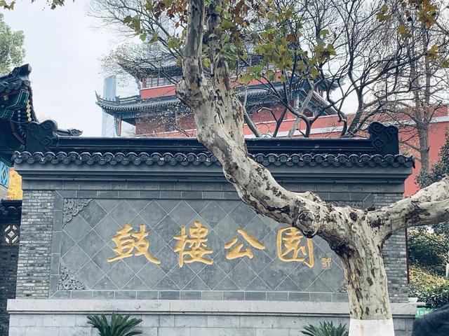 南京的秋藏不住了！8大免费秘境，本地人都私藏