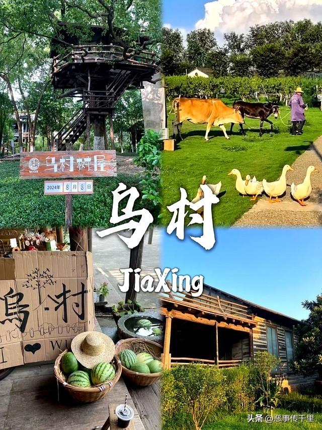 我是兰州人，一家人来了趟浙江嘉兴，实在忍不住要说下这五个疑问
