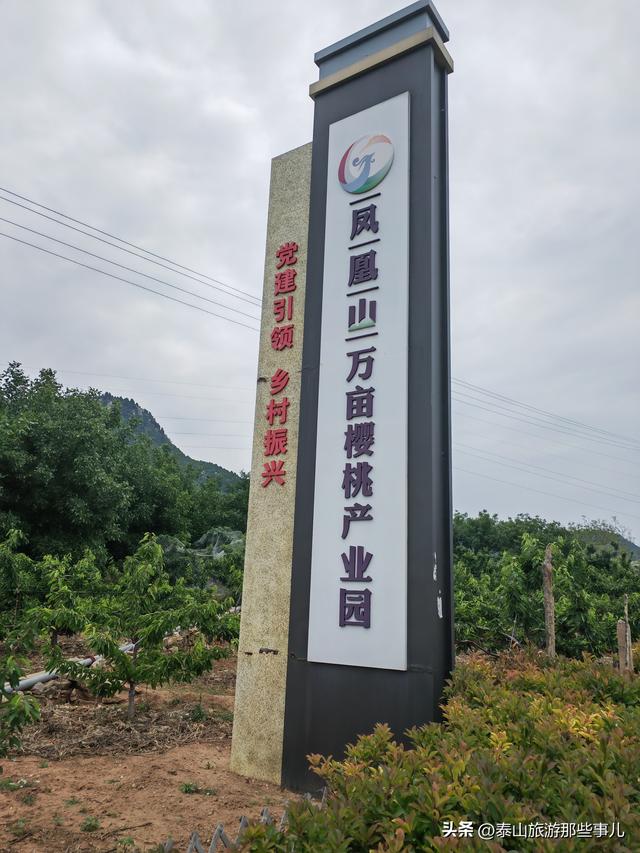 泰安：它被誉为“将军故里”，一个近郊游的小众景点，盛产大樱桃