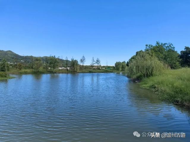 浙南最大的乡镇湿地公园原来在这里！