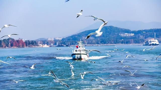 确认了！大批“顶流”抵达无锡！