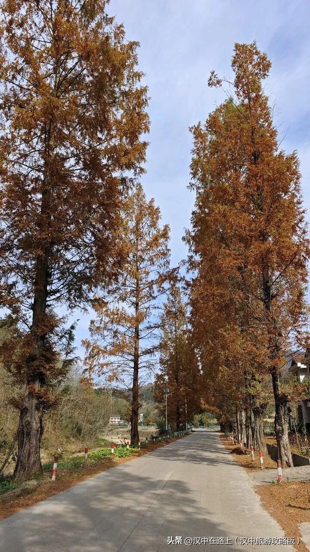 汉中洋西路自驾邂逅冬日限定美景！