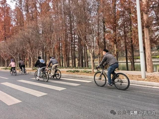 仪征市组织胥浦河绿色骑行活动