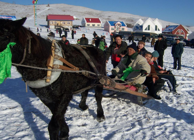 2025冬游牙克石全攻略｜3天解锁冰雪秘境极寒狂欢