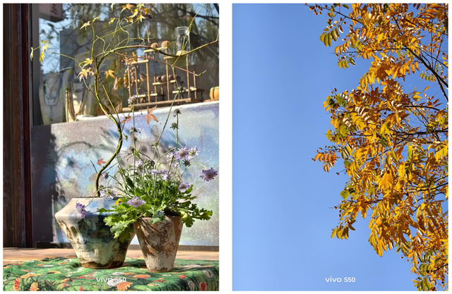 体验完vivo这台新机	，我感觉手机里的修图软件都可以卸载了