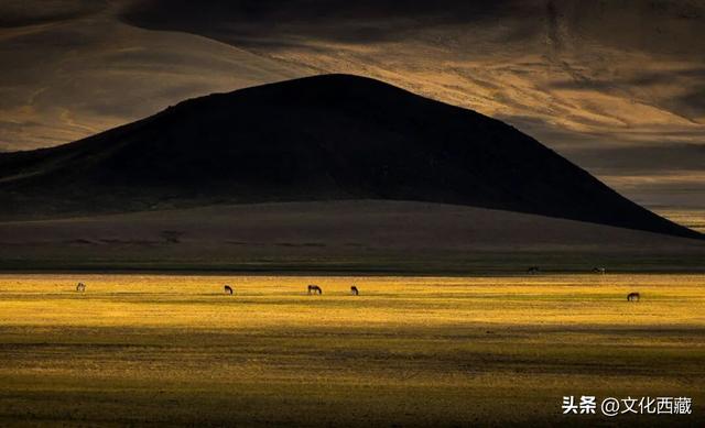 阿里！浓缩了西藏最极致的风光！看完这5种绝色才算不虚此行！