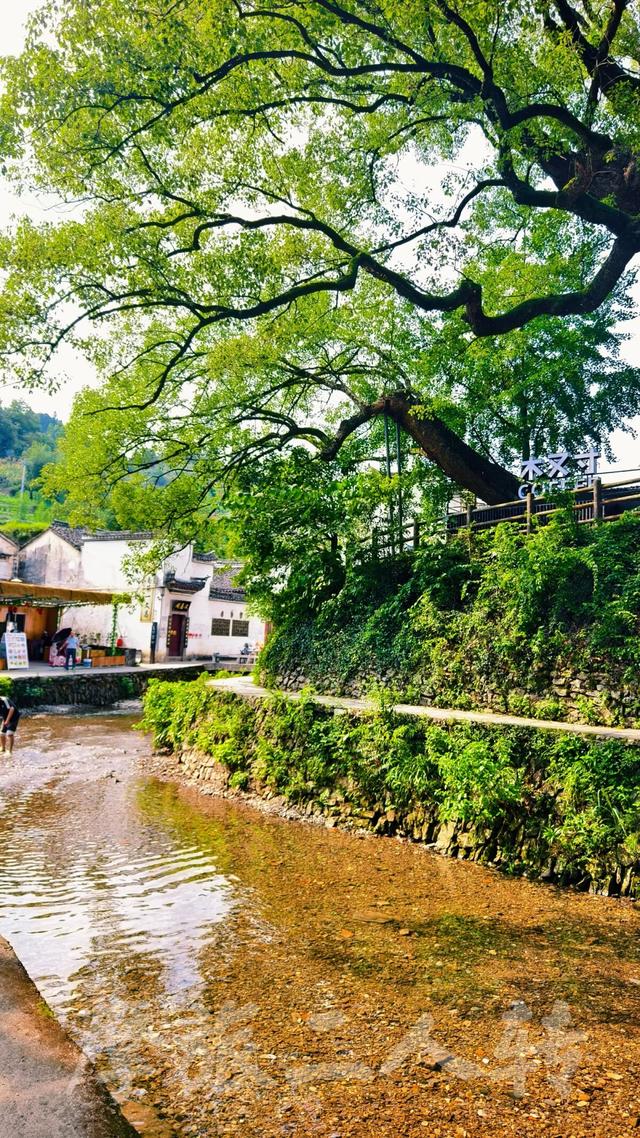 皖浙摩旅二人转——芹川古村篇