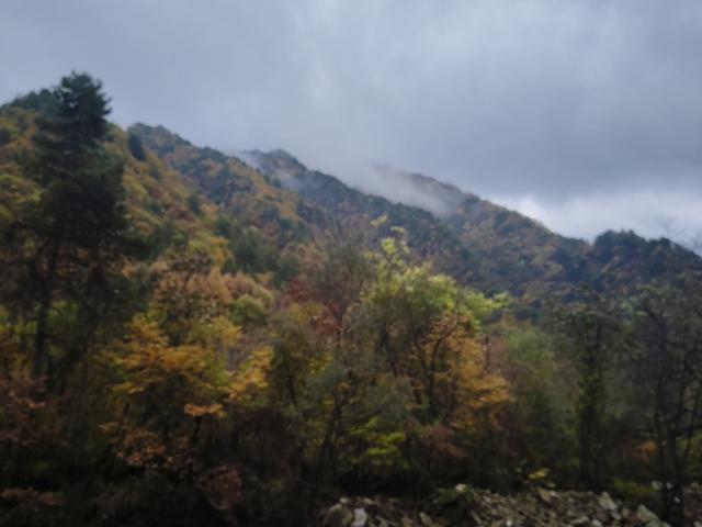 南行漫记：329公里的穿越之路，带你一起看红叶