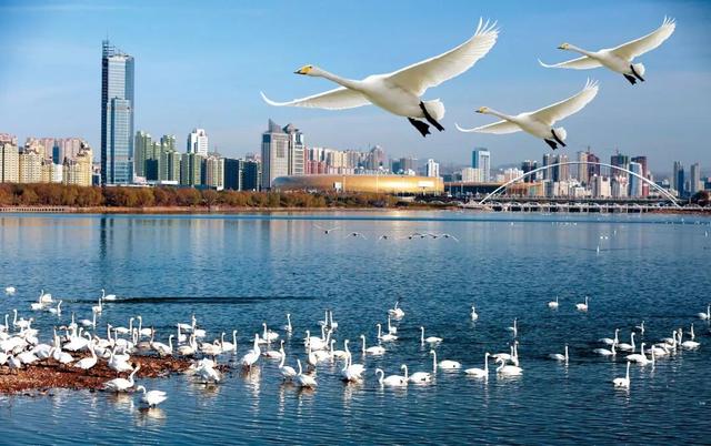 这份“河南冬日色卡”，每一帧都是壁纸