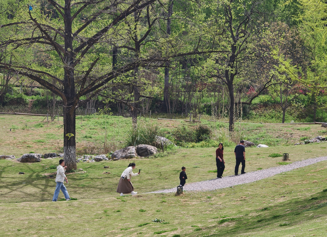 春满田河，古韵新生