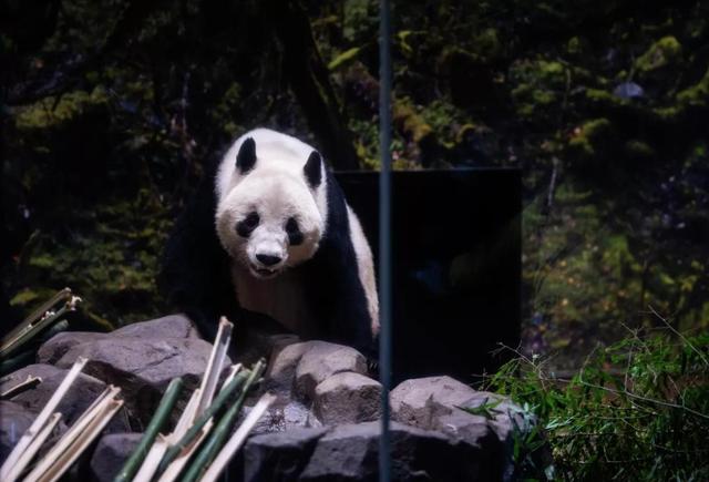 航班大量取消！高市早苗当天收到中方警告，日本对华提出过分请求