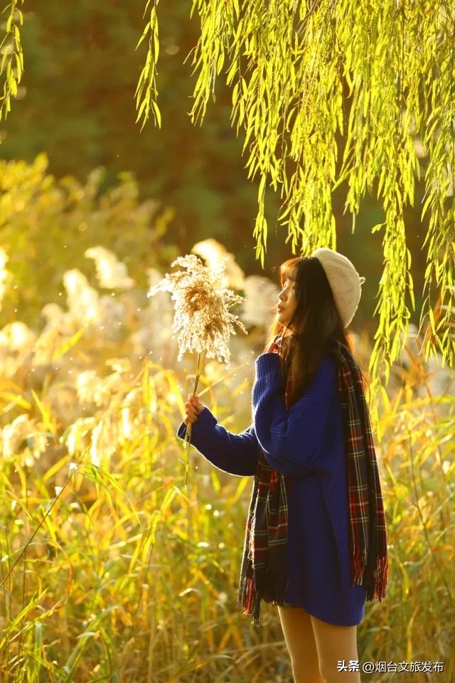 【乐游烟台】最新实拍！烟台鱼鸟河“顶级秋色”加载中