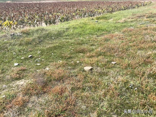 呼和浩特市托克托县田野考察笔记
