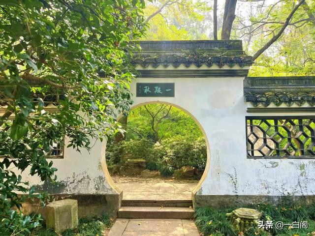 20:天下第三泉——杭州·虎跑泉