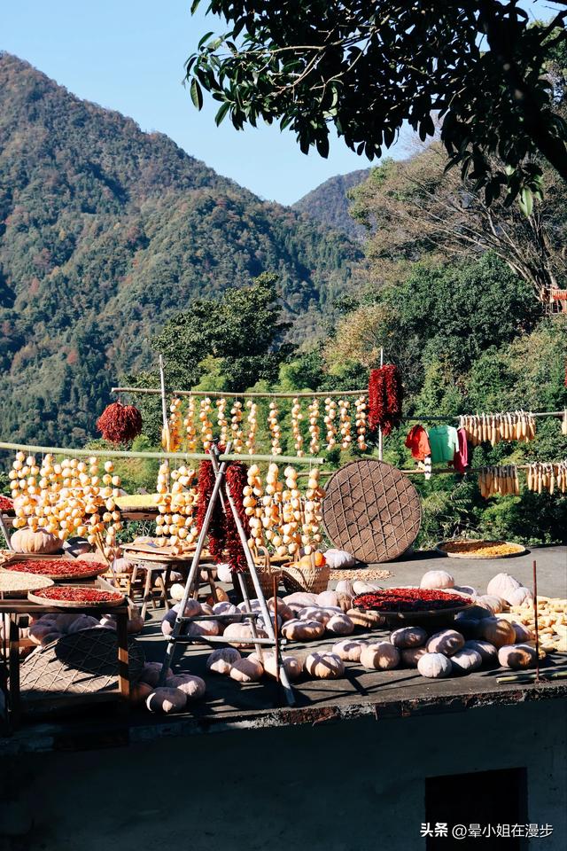 秋色浓、叠彩韵、檐下晒秋图，这可能是国内最美的秋天