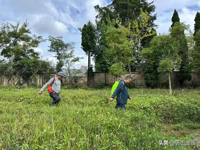 假日徒步，走昆明滇池草海之开合浮桥、雨中打卡新晋网红地，休闲