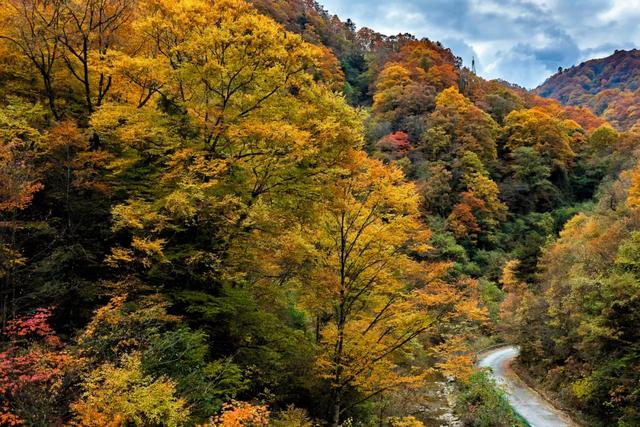 来洋县华阳！赴一场秋日之约~