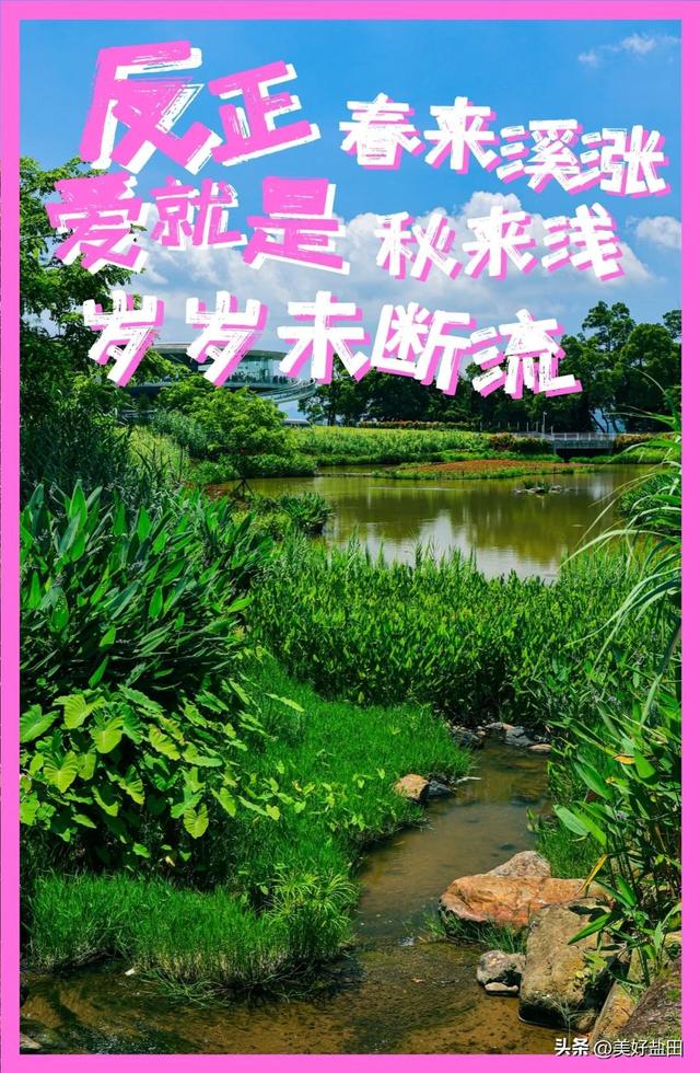 今日宜“疯狂”消费浪漫，反正爱就是______