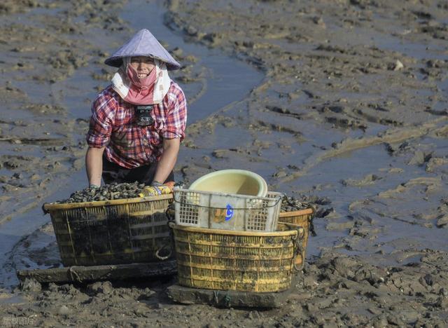 从湖南去了一趟霞浦，实话实说，回来才发现朋友圈都是骗人的？