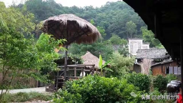 年轻的张家界 || 胡成江