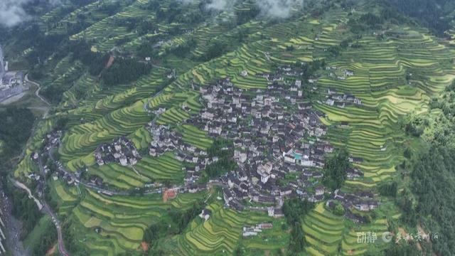 开屯梯田：岁月雕琢的田园诗画