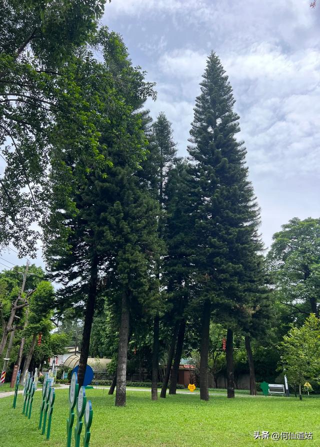看看青年公园