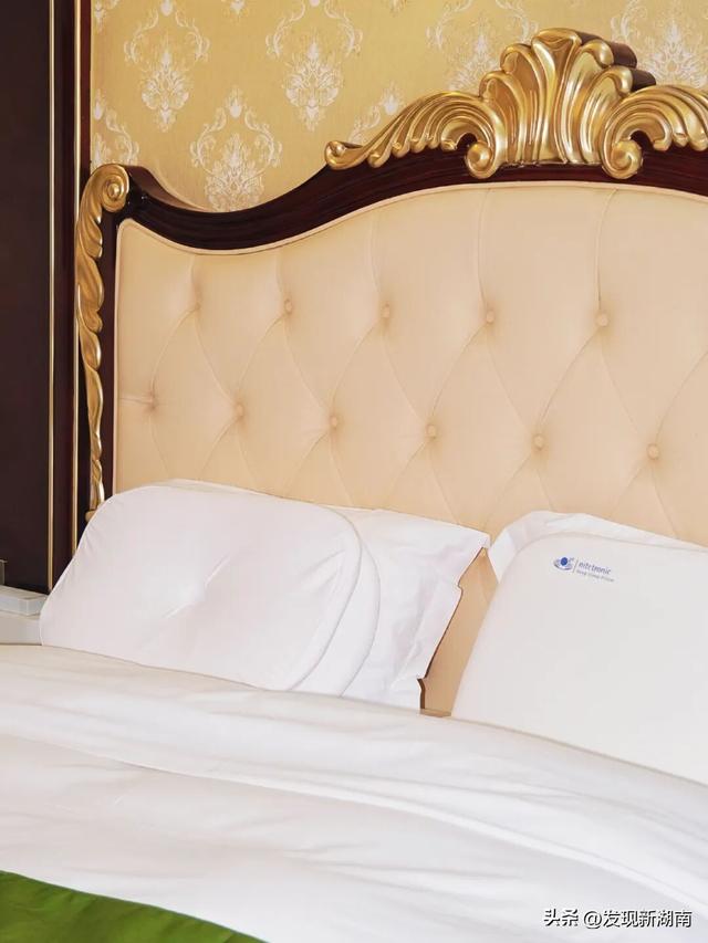 万家丽国际大酒店把“森林”搬进客房 多元业态唤醒城市旅居新想象