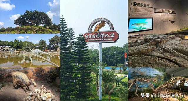 四川被成都光芒掩盖的宝藏城市，拥有4张响亮名片，你去过吗？