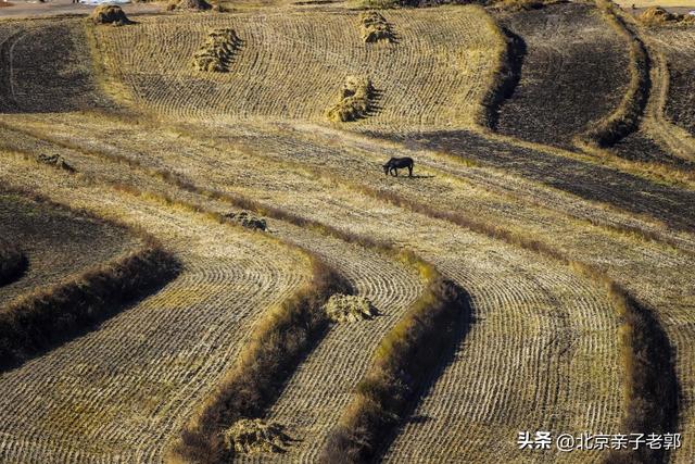 北京周末自驾新选择！全家重阳出游人少景美