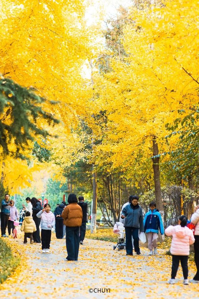 潍坊美景“告急”！这些地方错过等一年！