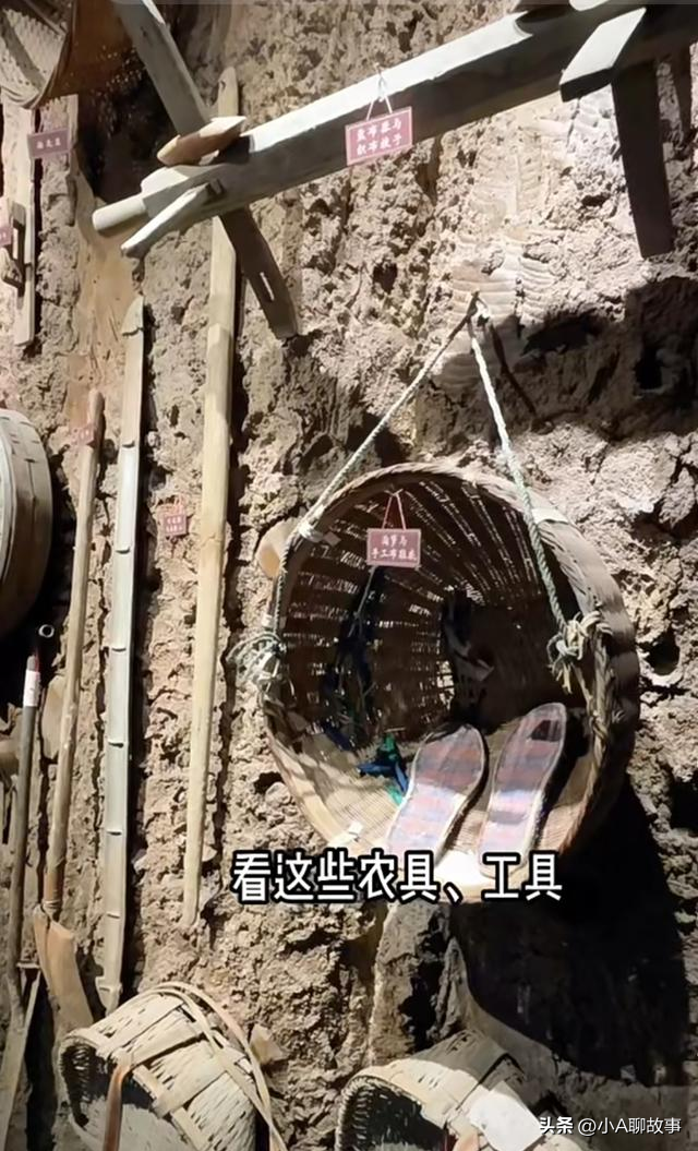 我是上海人，刚从南汇回来，这5个疑问在心里绕了好久。