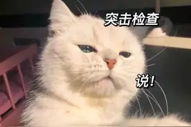 换电视要死磕画质？一文读懂为何TCL T7L Pro是2025年电视升级首选图片