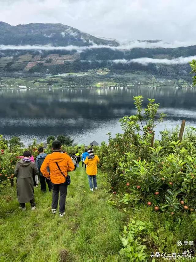 北欧旅游印象之十一:哈当厄尔峡湾苹果园
