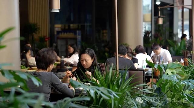 【游在叙州】如何玩透万象宜宾天地？随我来…