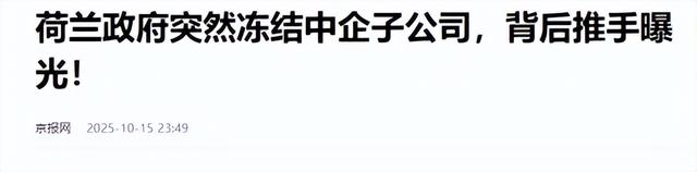 资产斩首一夜完成，强制接管中资芯片企业，中资出海遭制度性围猎