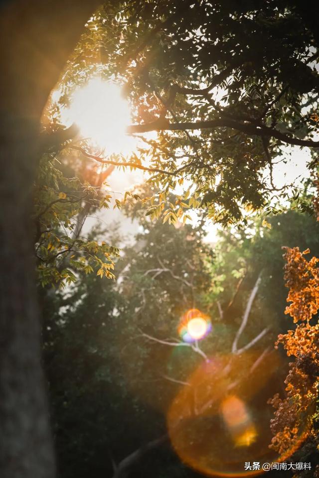 冬日暖阳里，来丰泽这儿享受惬意时光