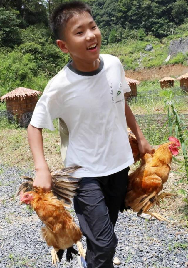 “山村收菜计划”再升级！杭城一批亲子家庭上周末驱车200公里赶到这个海拔600多米的小山村……