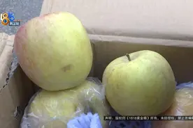 冲着“丑”买的，他觉得不丑也不香图片