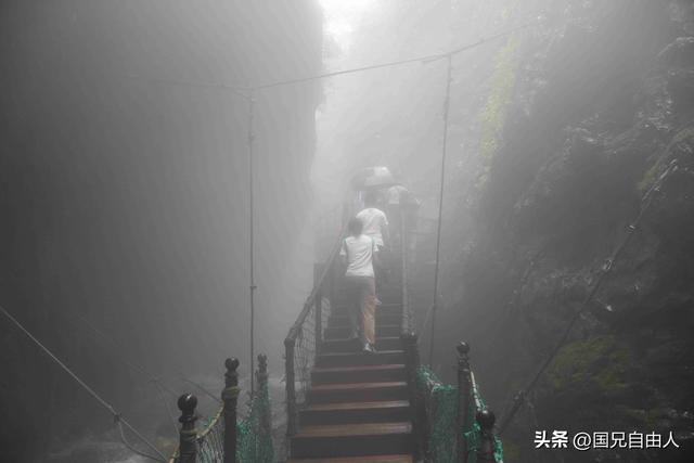 “渝黔生物基因库”黑山谷游记