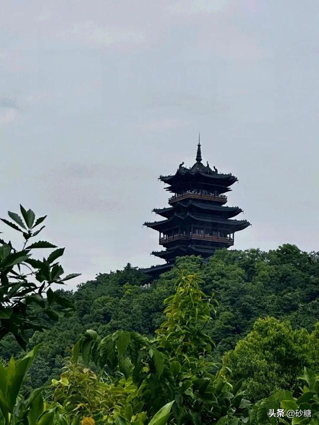 一键get森系大片！半山国家森林公园吸氧徒步全攻略