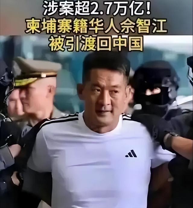 面相又变了！49岁赵薇广东吃饭	，又老又瘦没架子，却再无回头路走