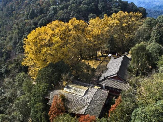 【跟着川超游雅安】2025年雅安秋季精品旅游线路来啦！