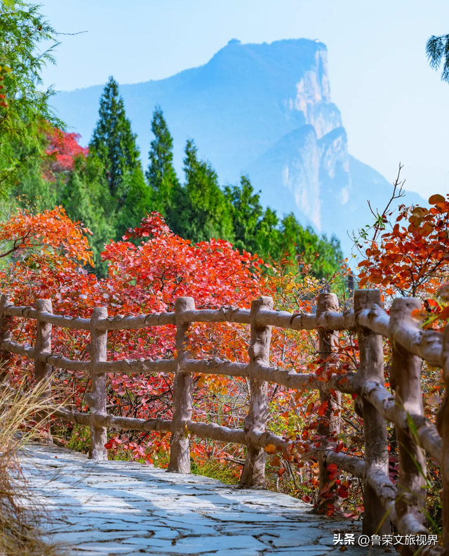 徒步三峡：霜叶漫山处，一步一千年