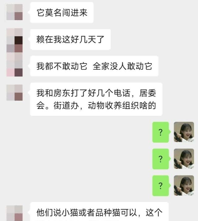 小姐姐家闯入一只巨大的白猫，她吓得转身就跑。有变异生物